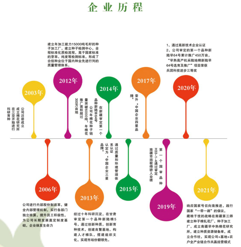 发展历程