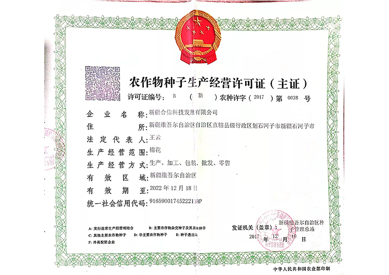 企业荣誉