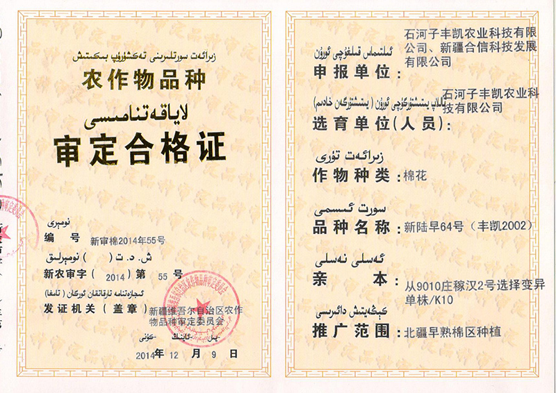 科研成果
