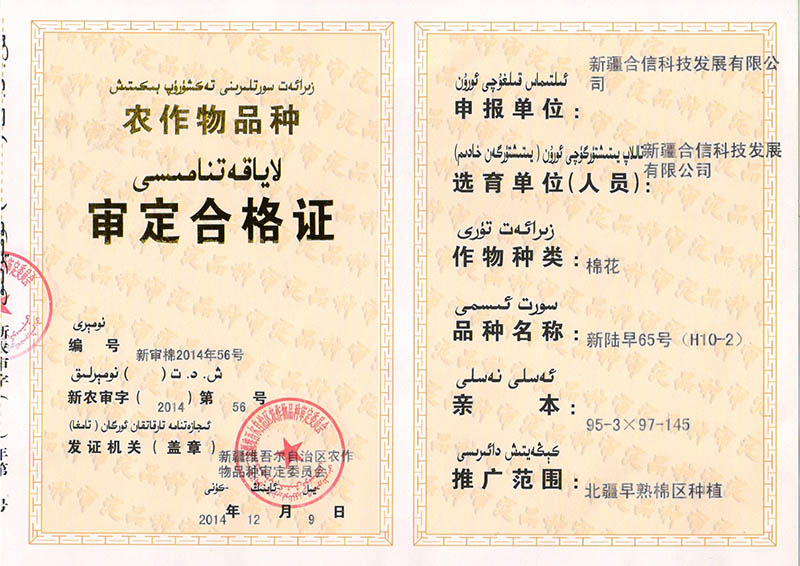 科研成果
