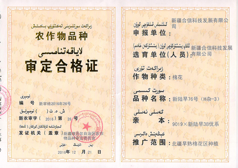 科研成果