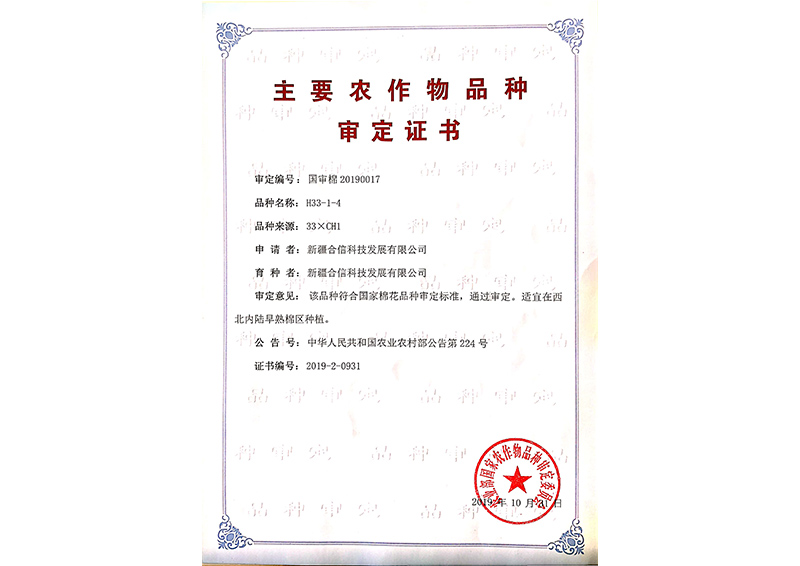 科研成果
