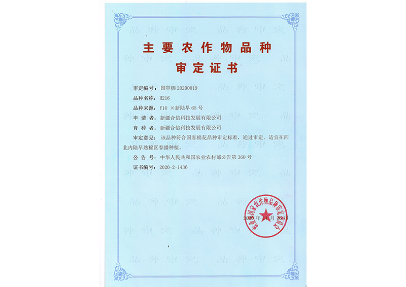 科研成果