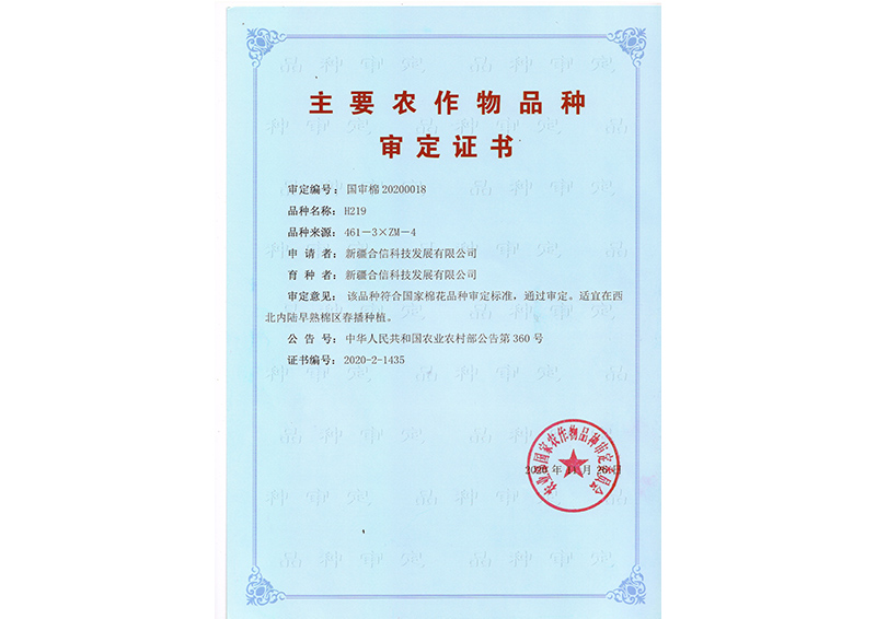 科研成果