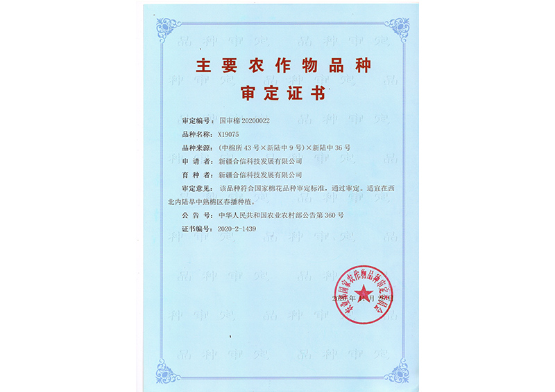 科研成果