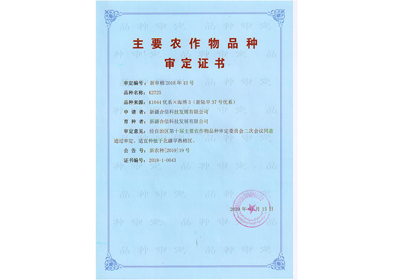 科研成果