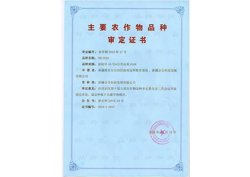 科研成果
