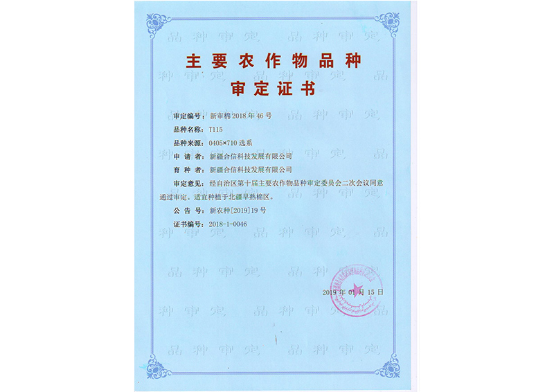 科研成果