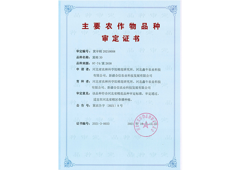 科研成果