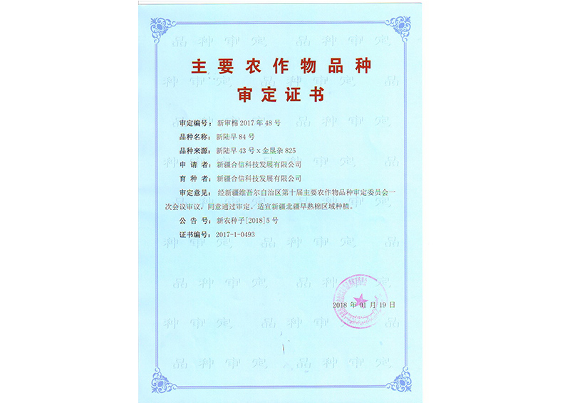 科研成果