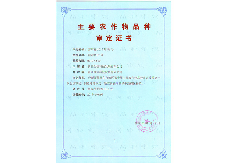 科研成果