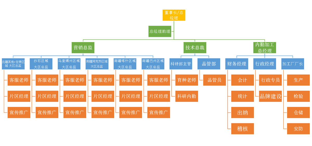 组织架构